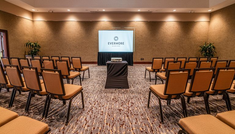 Sala de conferințe cu scaune orientate spre ecranul proiectorului