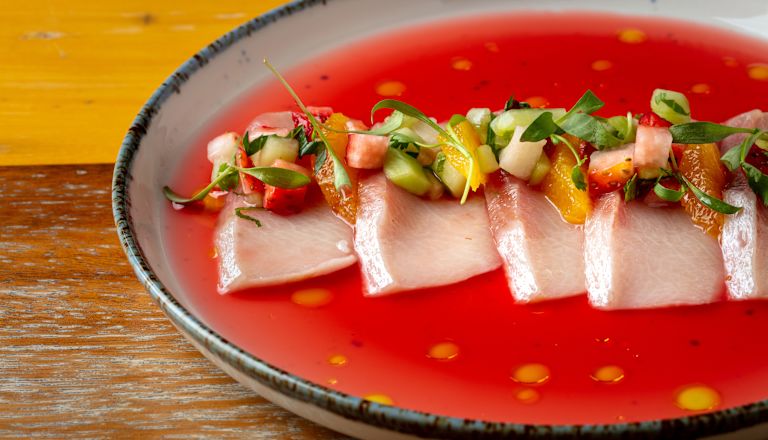 Cabo Wabo Beach Club, Hamachi Crudo