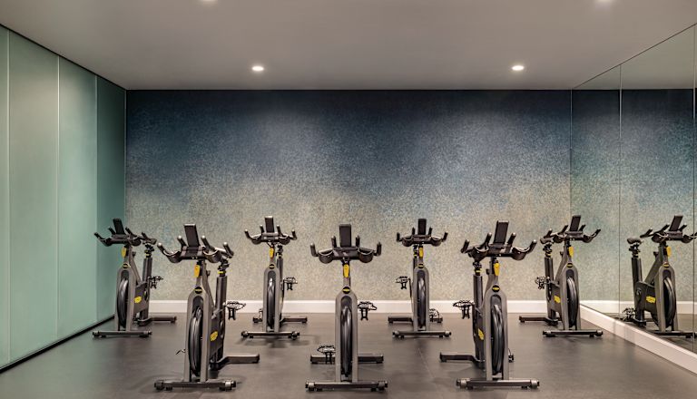 Biciclete cu rotire pentru centrul de fitness