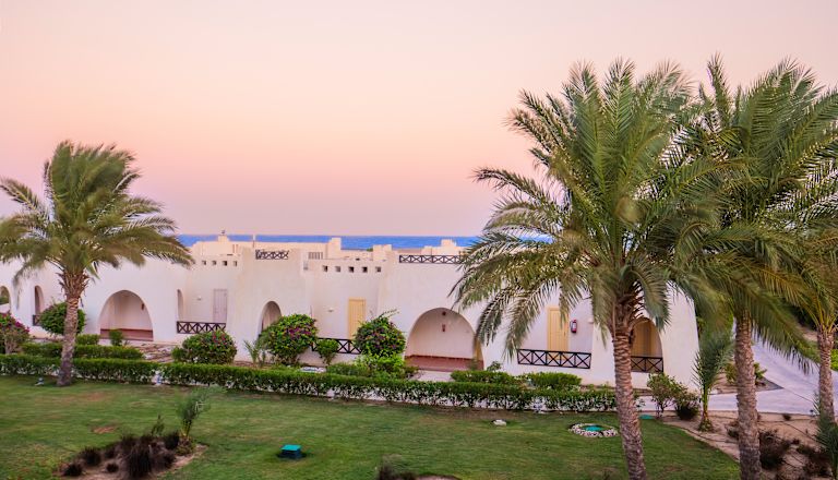 Hotel Building Exterior with Palm Trees