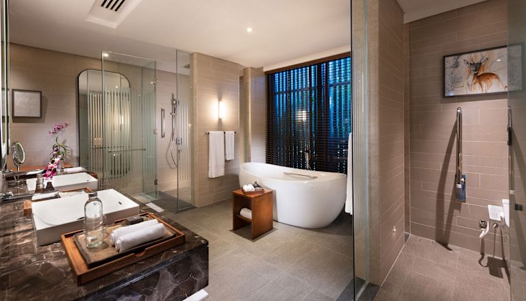 Accessible Room with Bathtub and Separate Shower