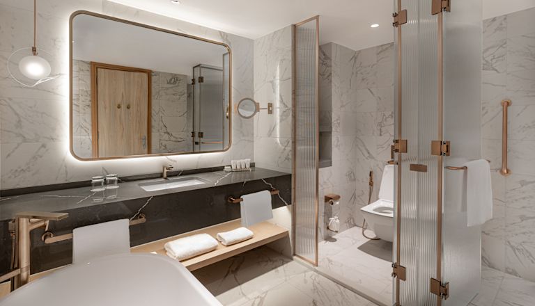 Guest Bathroom with Tub and Shower