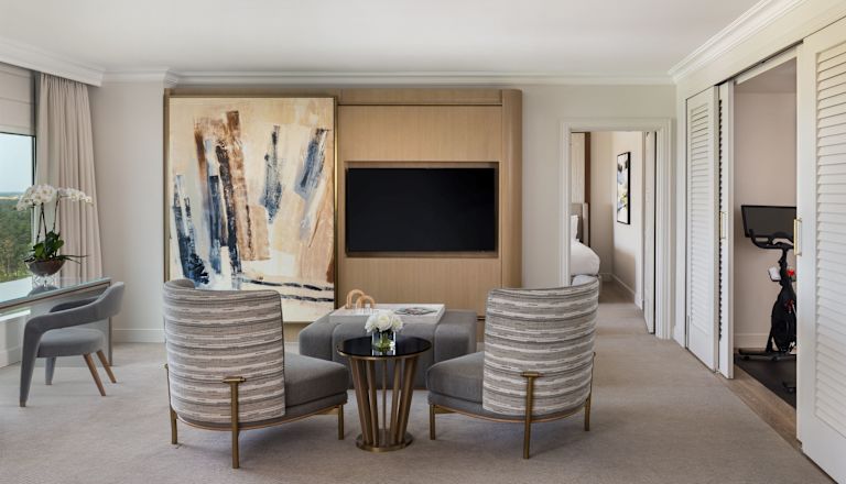 Sala de estar de la suite con televisor y sillones