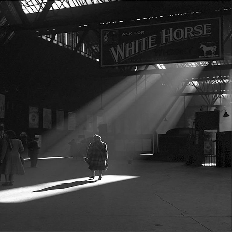 Shot of white horse sign in black and white