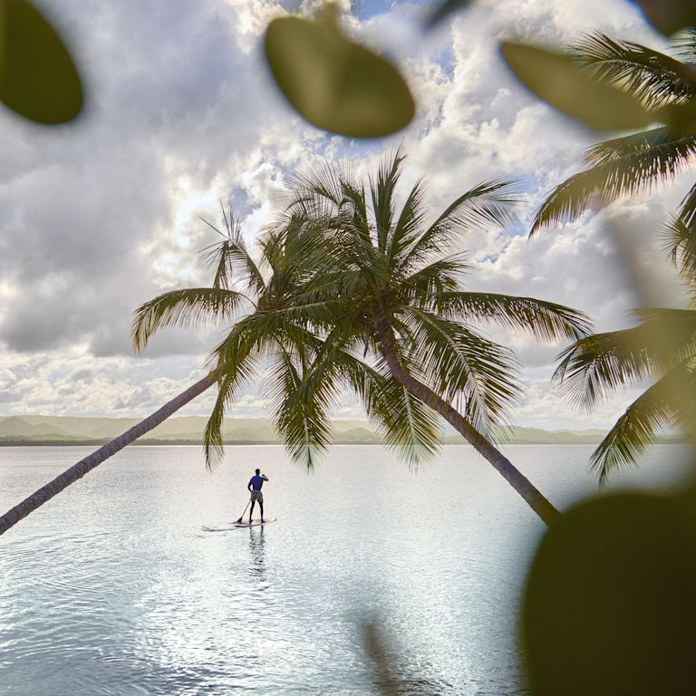 Person paddleboarding on calm water between leaning palm trees, with distant mountains and clouds under soft afternoon light.