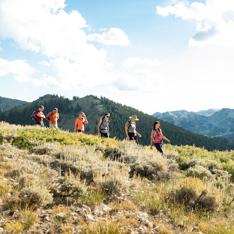 A Group of People Enjoying a Hike on a Sunny Day