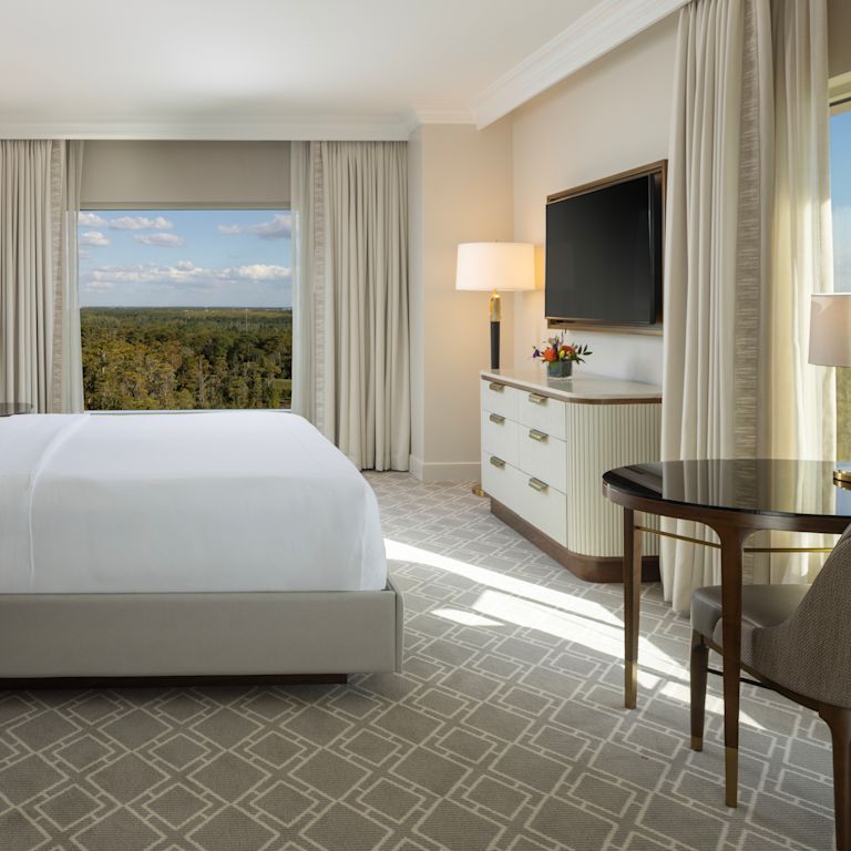 habitación, una cama King, televisor, vista a los árboles desde la ventana