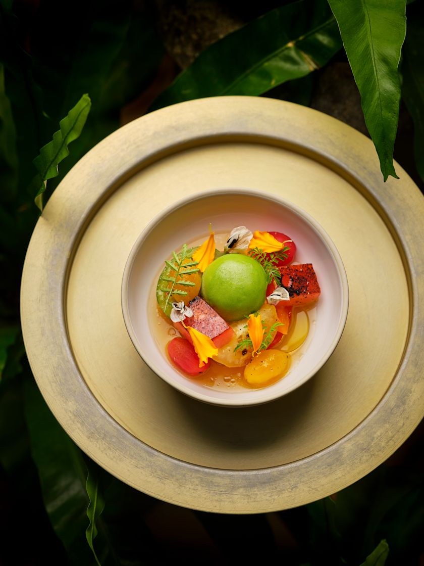 colorful tomatoe bowl on leafy background-previous-transition