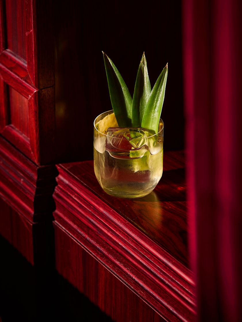 A clear cocktail with ice and pineapple leaf garnishes sits on a red-stained wooden ledge.-next-transition