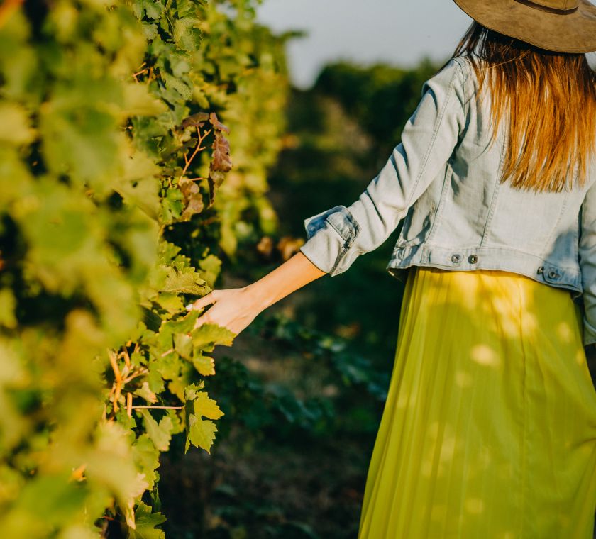 Woman walking along vines in vineyard