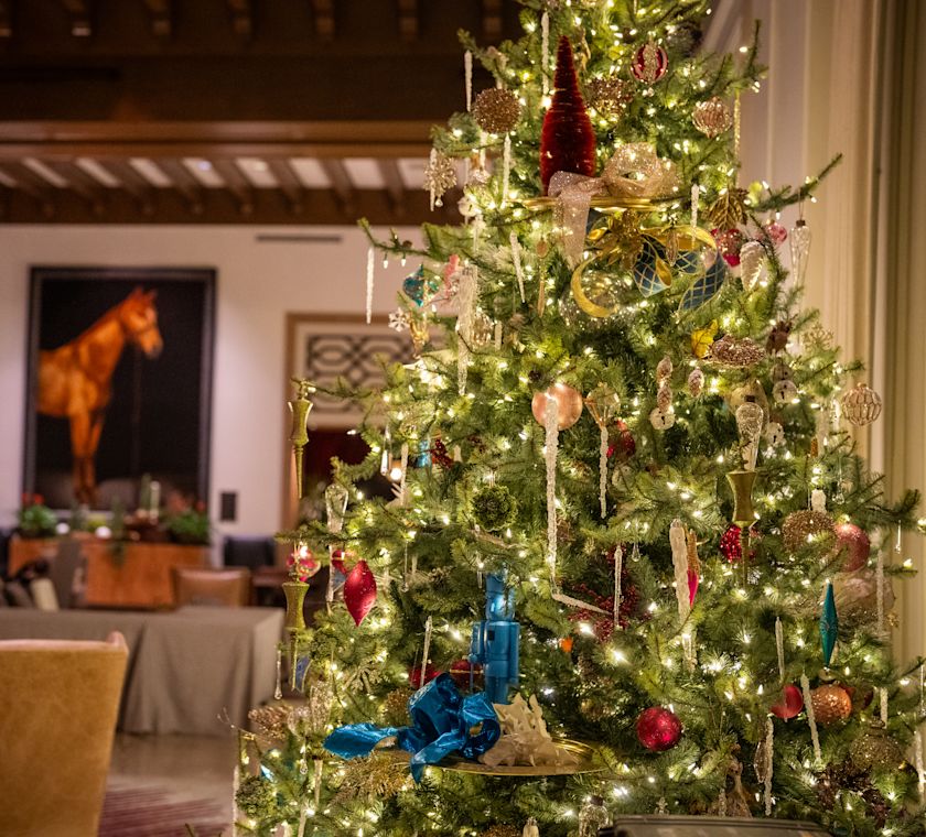 Tree decorated for Christmas in Lobby Area