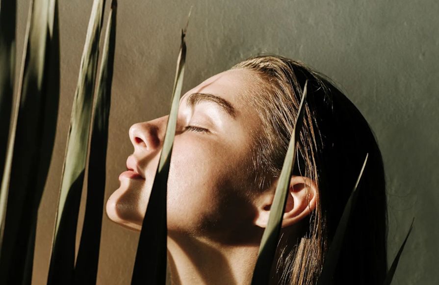 Daha önceki geçişinde bitki ve gölgesi olan kadınlar