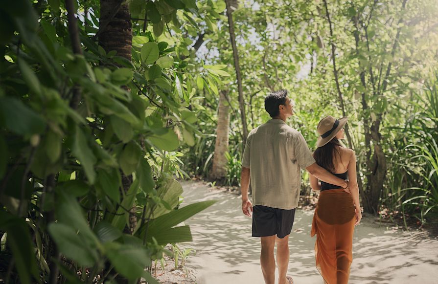 couple marchant dans la jungle-transition