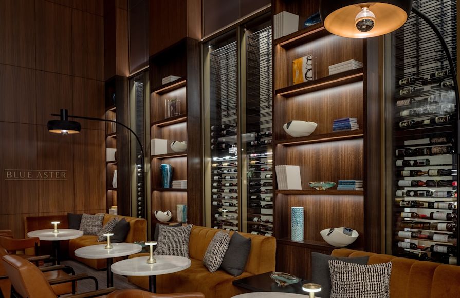 Blue Aster Lounge brown seating with books behind-transition
