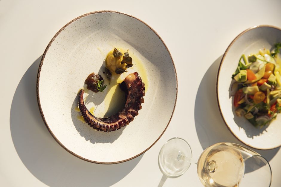 Izgara ahtapot, yan salata ve bir kadeh beyaz şarap tabağı.