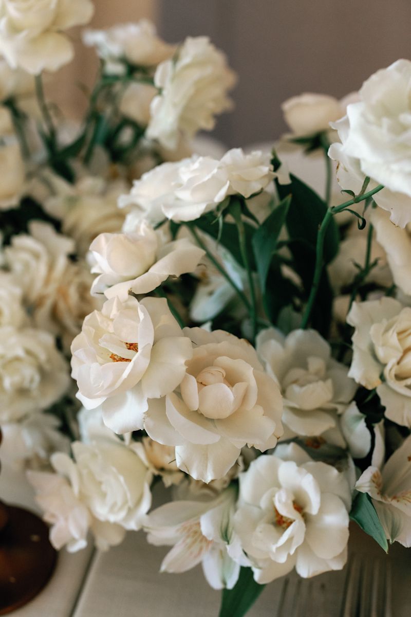 Vue de près des fleurs blanches