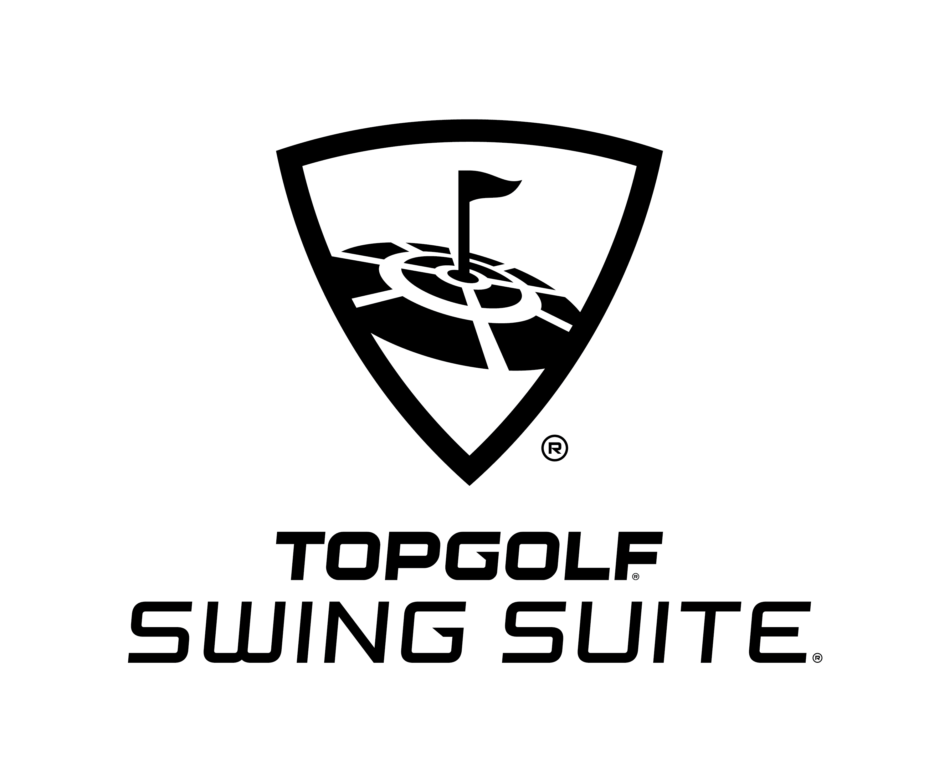 호텔 전용 스윙 스위트 로고