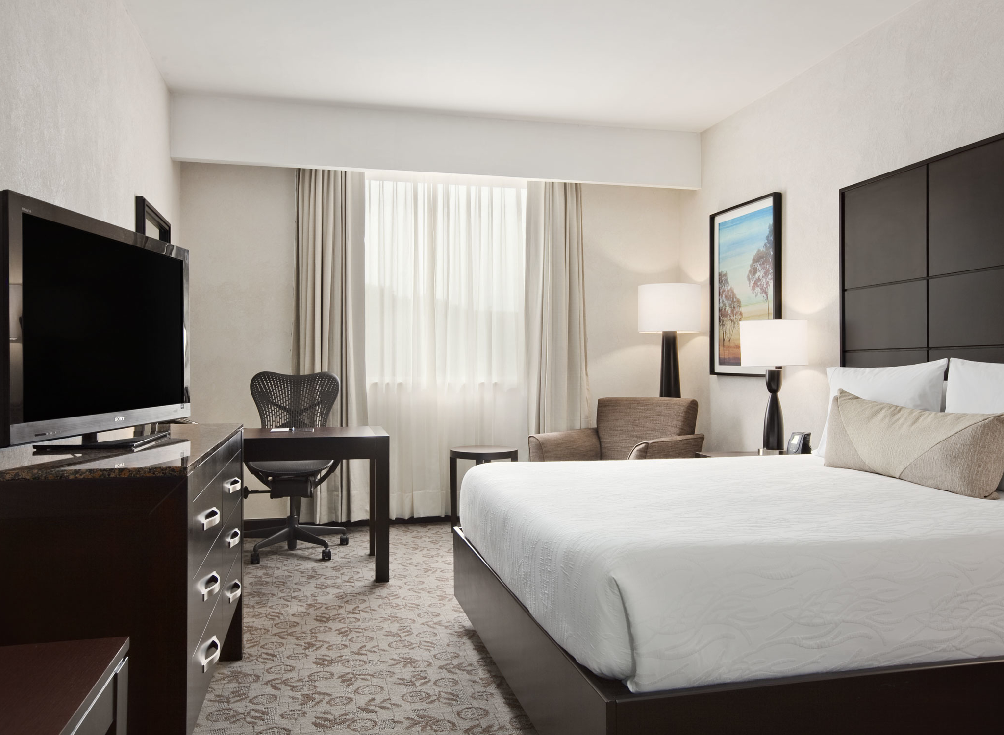 hilton garden inn cali ciudad jardin