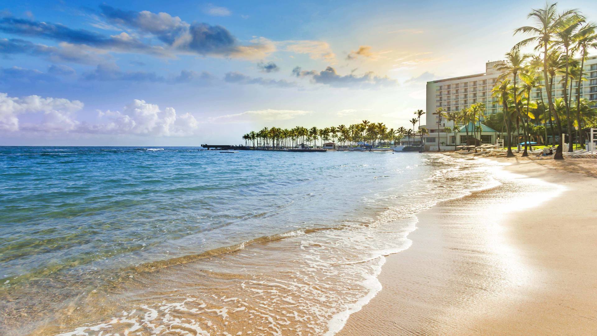 Stretch of beach view