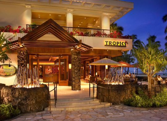 Tropics Bar and Grill agrandi