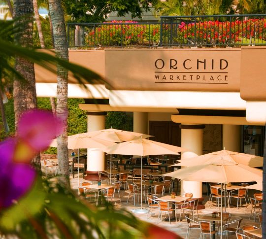 Orchid marketplace exterior-transition