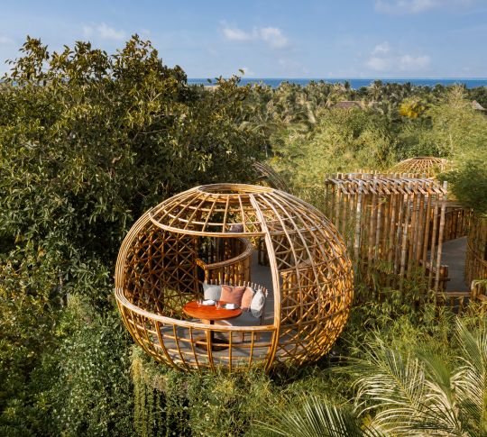 Vedere a zonei de relaxare cu copaci