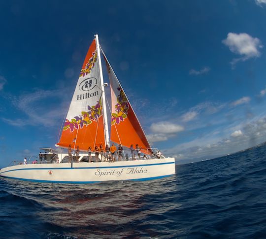 View of Sailing boat with Hilton logo