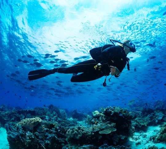 Scuba diver under sea with fish