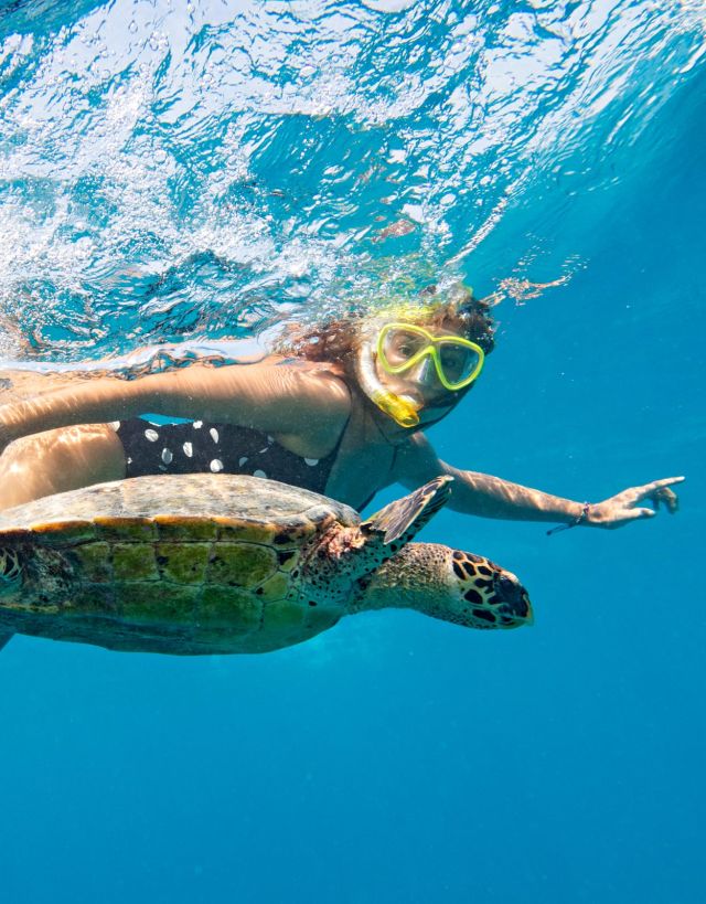 Woman snorkeling next to turtle