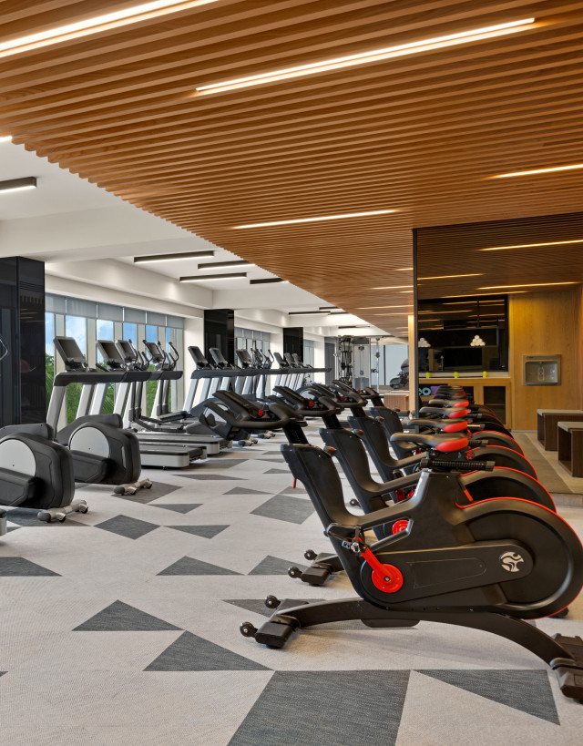 Treadmills & ellipticals in the fitness center