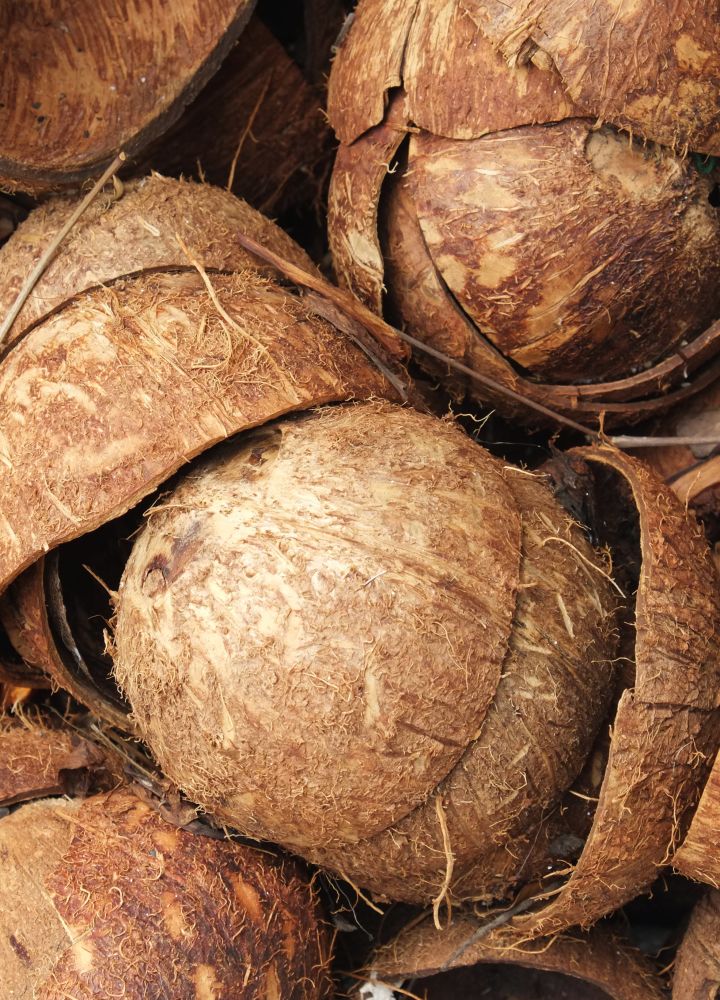 Coconut shells