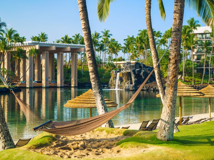 Lagoon and Hammock