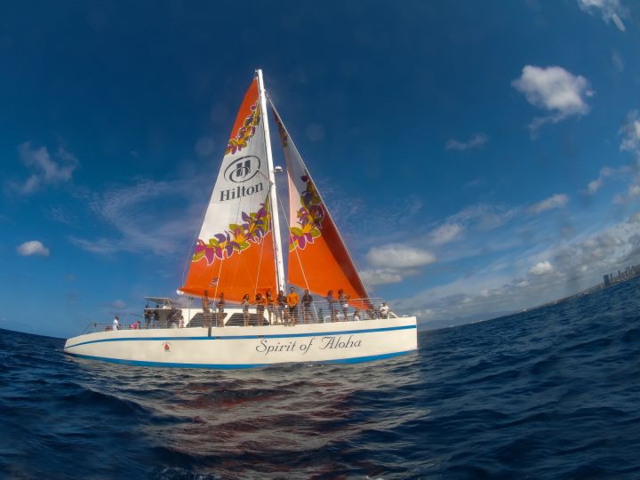 View of Sailing boat with Hilton logo