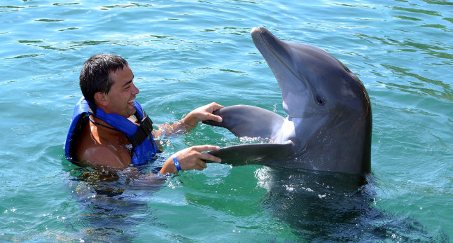 Man playing with a dolphin