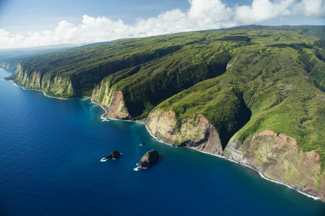 Hawaiian coastline