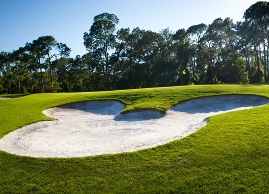 Mickey Mouse-shaped sand trap on a golf course